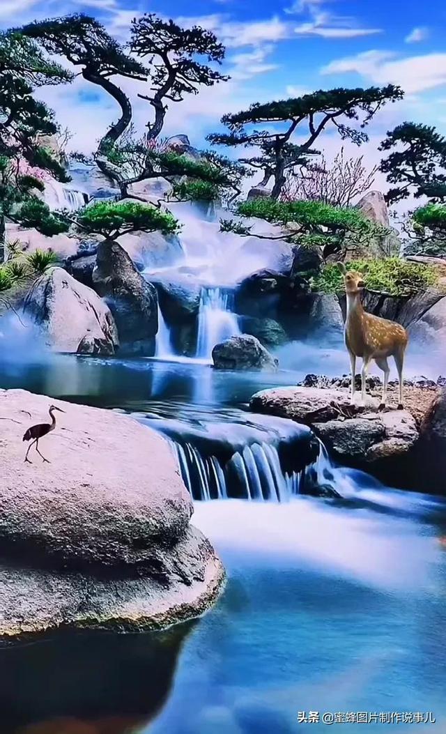 玛丽皇后的时装
